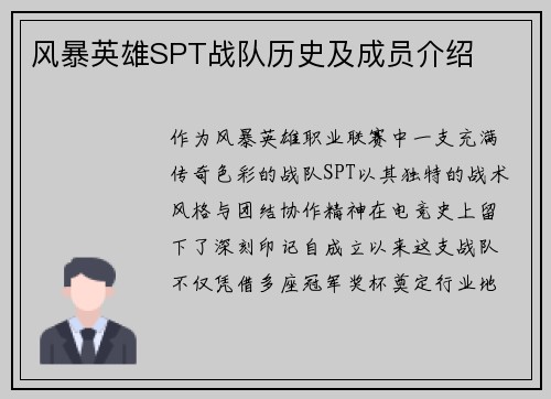 风暴英雄SPT战队历史及成员介绍